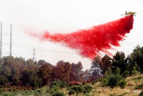 Palestine, Egypt offer  air support as Israel  battles wildfires
